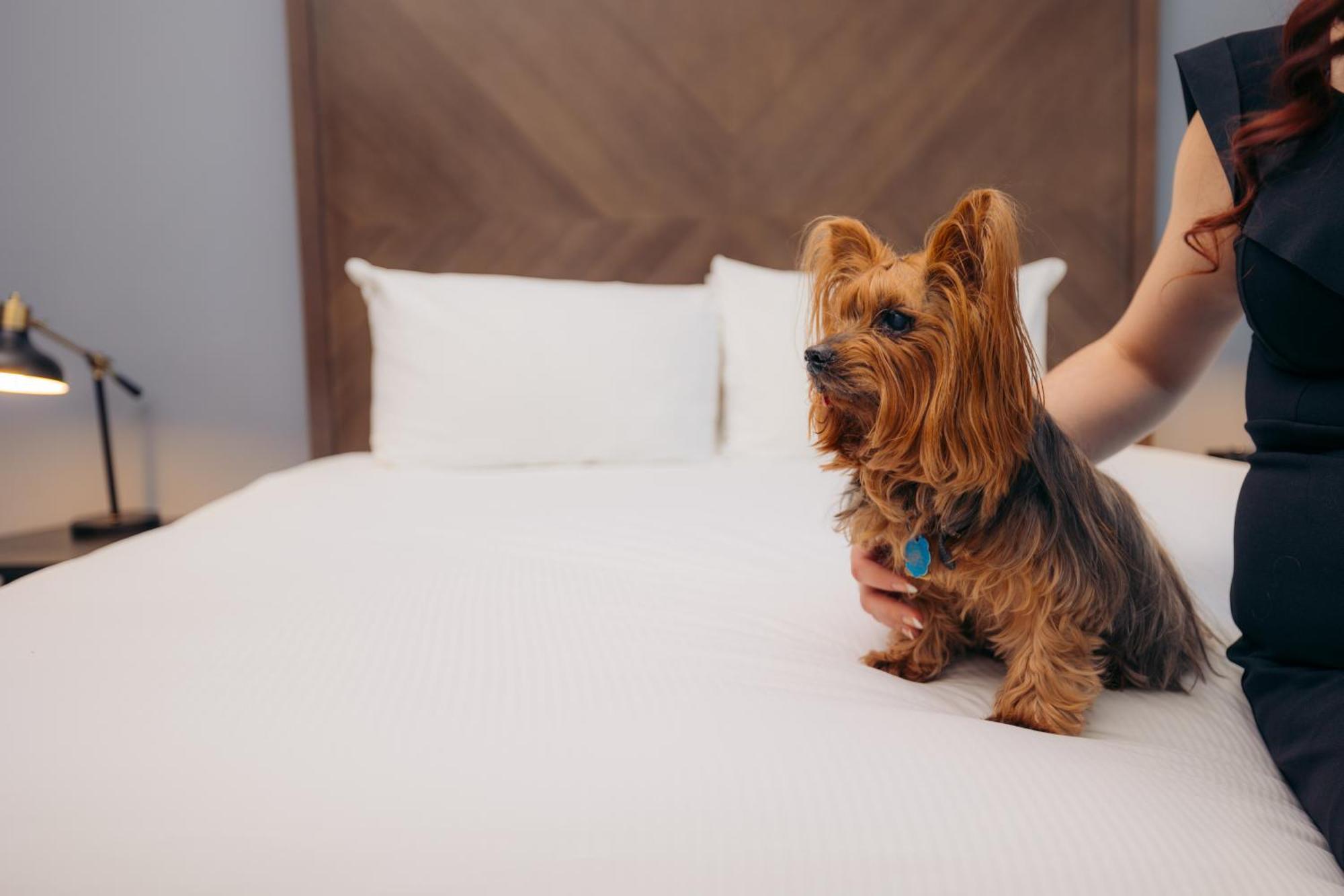 Hotel Winters Luaran gambar